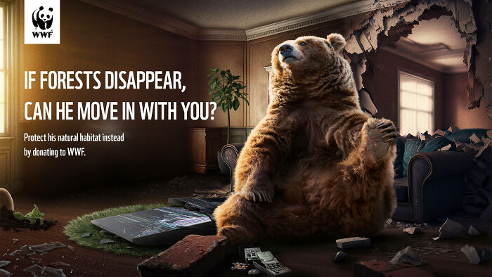 Powerful WWF ad showing a bear in a destroyed room highlighting forest habitat loss and the need to protect nature.