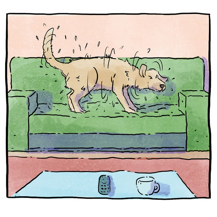 Dog shaking off water on a green couch in a heartfelt wordless comic about life with a dog and a cat.