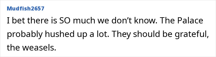 Comment from Mudfish2657 expressing skepticism about hidden truths and criticizing the Palace amid Meghan Markle accused treating kids like accessories.