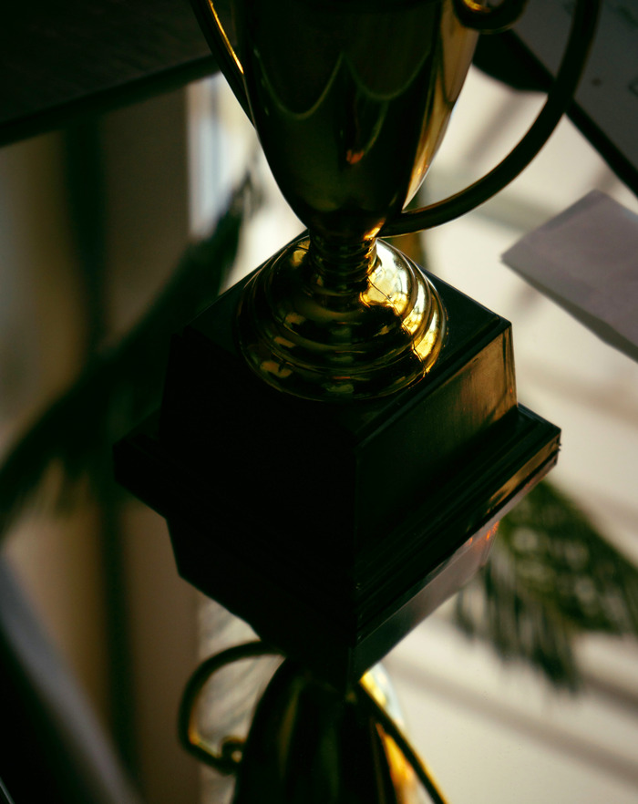 Close-up of a gold trophy symbolizing success in how I paid for college with hidden secrets revealed.