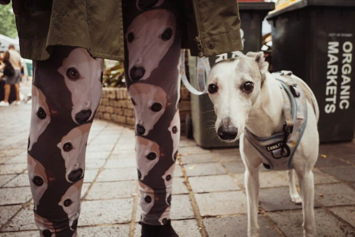 Candid street photo of a person wearing dog-print leggings standing next to a white greyhound on a city sidewalk.