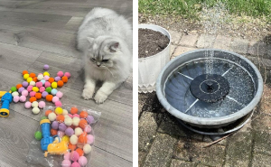 Our Panda Readers Have Spoken, These 50 Items Are The Most Loved