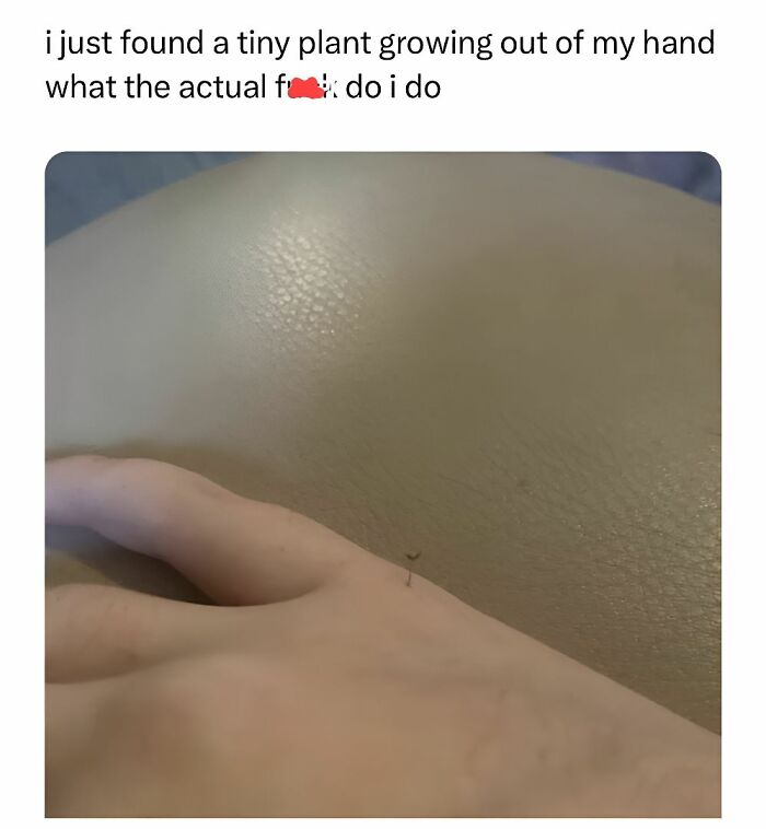 Hand with a tiny plant sprout growing out of it, part of 75 hilarious memes to help you decompress from stress.