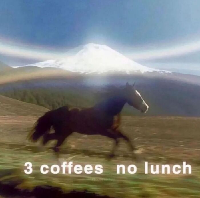Black horse running in a field with snowy mountain in background and funny meme text about coffee and no lunch.