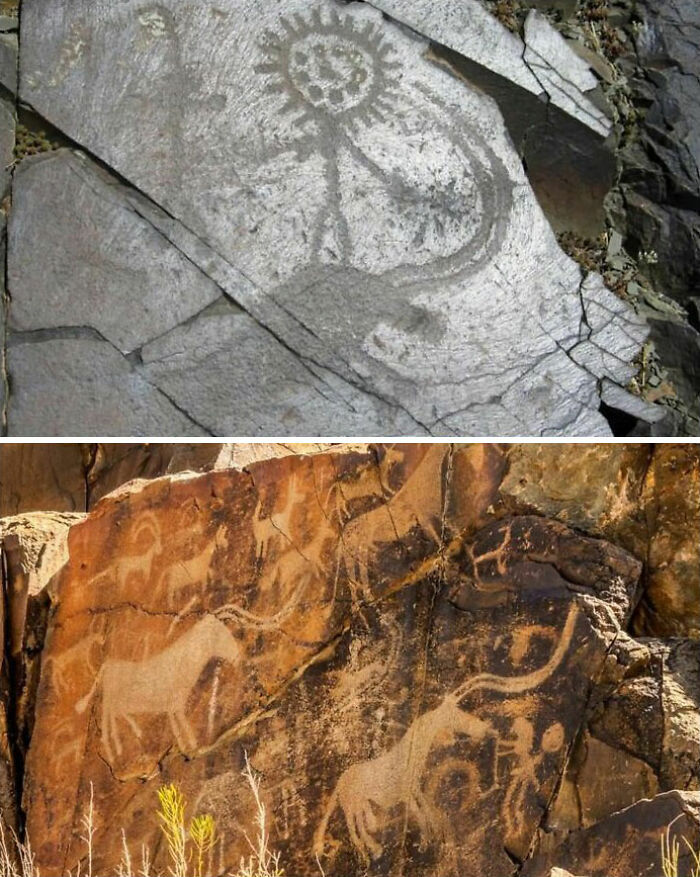 Ancient petroglyphs and rock carvings depicting animals and symbols in archaeology world historical sites.