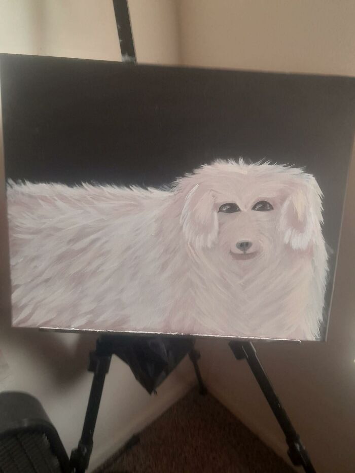 Painting of a fluffy white dog with poorly executed facial features, showcasing a horrendous DIY craft project.