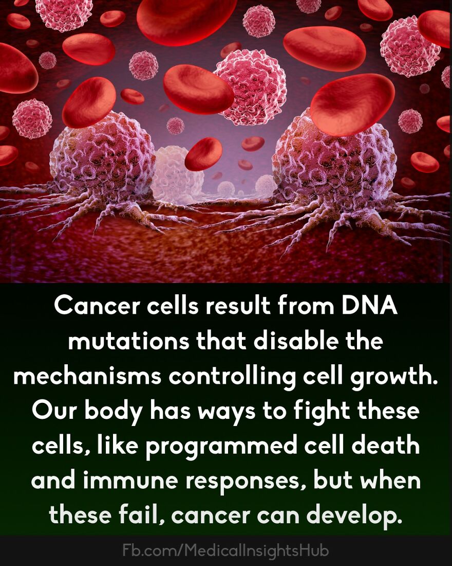 Cancer cells shown among red blood cells with text explaining DNA mutations and immune response failure.