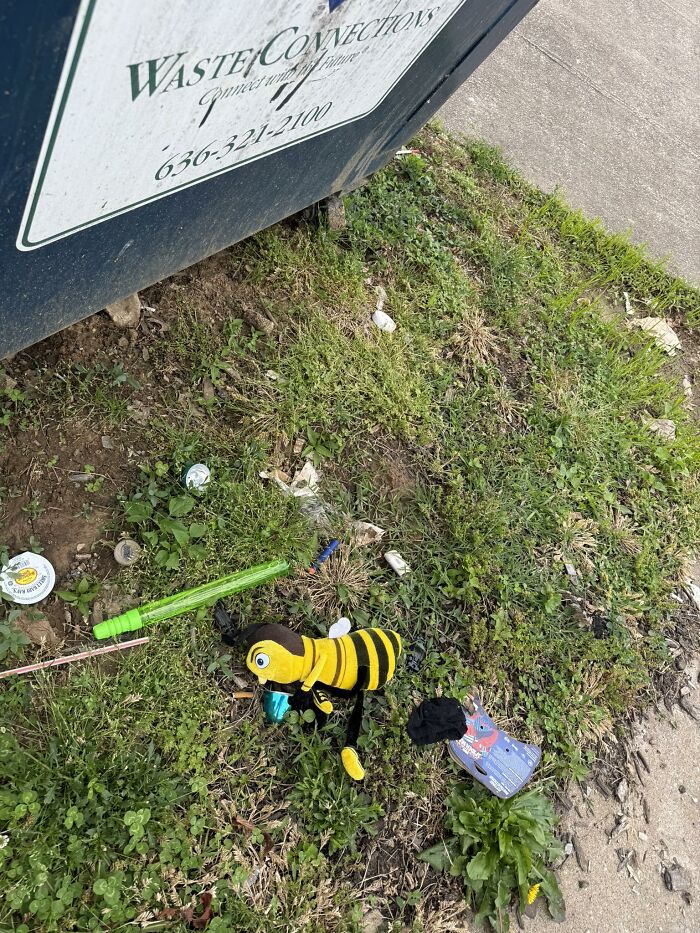 Littered grass area with a bee plush toy and trash near a waste connections dumpster on a sidewalk edge