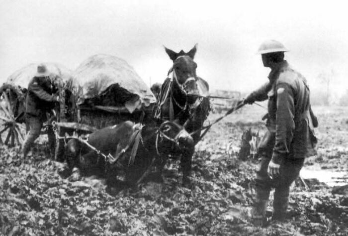 Black and white historical photo showing soldier with horses and carts struggling through muddy terrain during wartime.