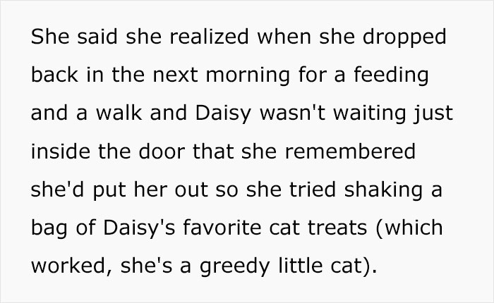 Text about a cat-sitter realizing the cat was outside and using treats to coax her back inside in a cat-sitter payment dispute.