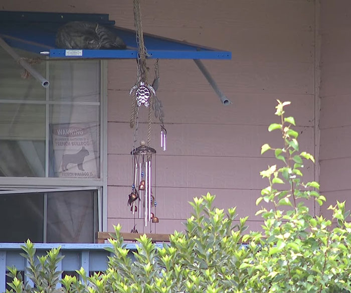 Porch view with a wind chime and window, related to captive woman&rsquo;s brave cry for help at Jersey Mike&rsquo;s subs restroom rescue story.