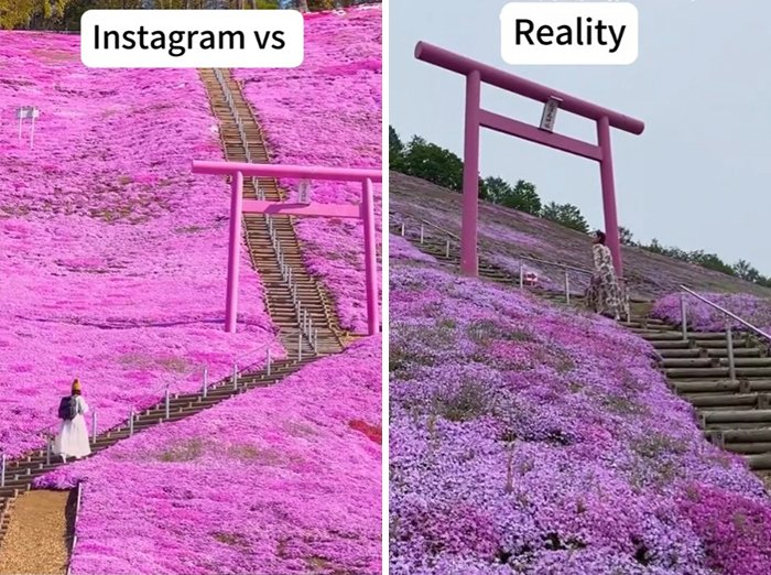 Side-by-side comparison of Instagram vs reality travel moments showing vibrant pink flower fields and a torii gate.