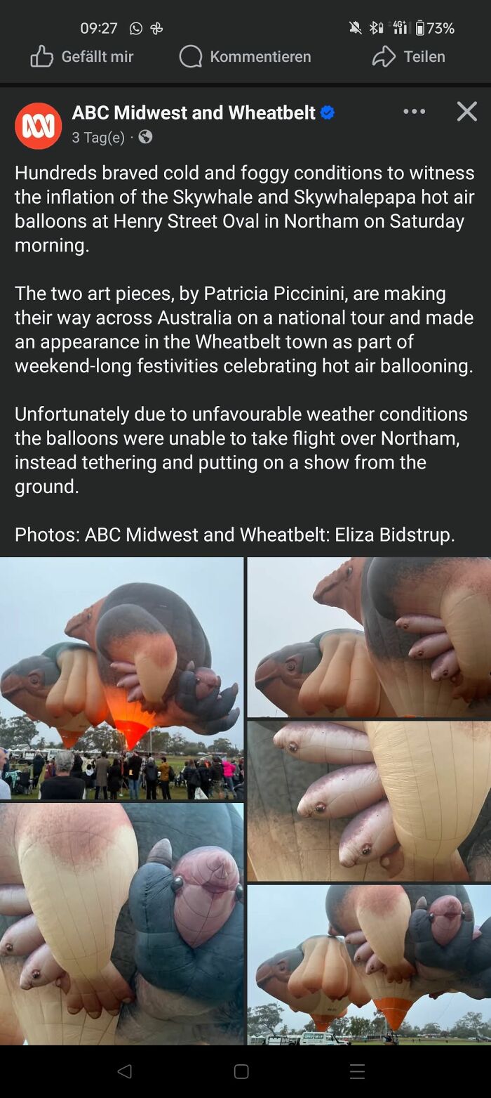 Inflated craft shaming DIY project hot air balloons shaped like animals at a foggy outdoor event with spectators.