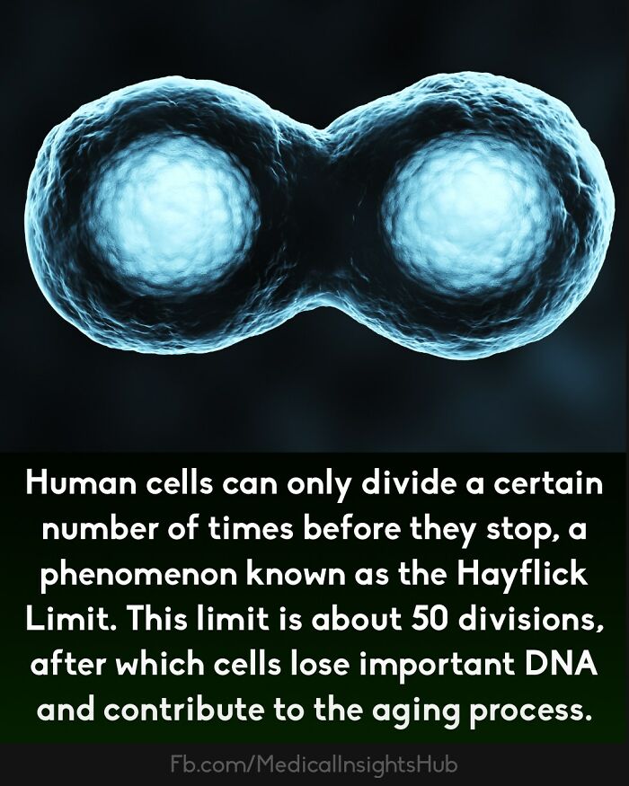 50 Cool And Interesting Medical Facts You Might Not Know About Your Own Body And Health