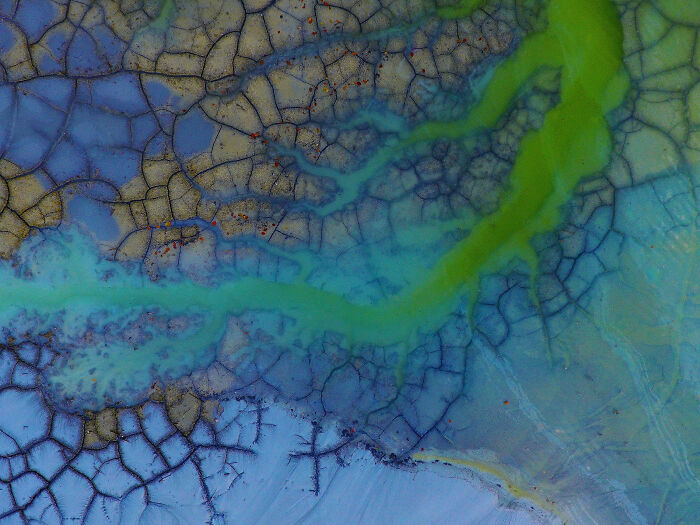 The Romanian Village Drowned By Toxic Waste, Still Breathing Through My Lens