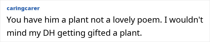 Comment text about gifting plant to male colleague, discussing preference for giving a plant as a gift instead of a poem.