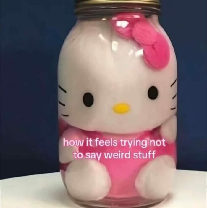 Hello Kitty doll in a jar meme illustrating relatable feelings of trying not to say weird stuff for memes keyword.