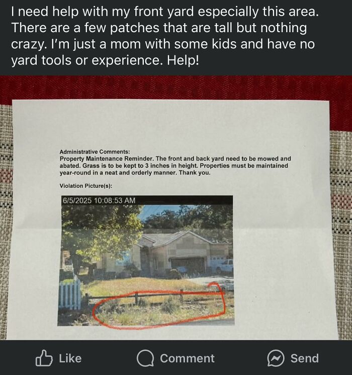 Entitled single mom sharing a yard violation notice about front yard grass maintenance and needing help with lawn care.