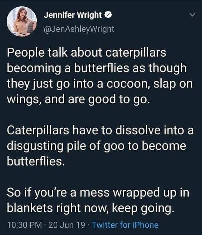 Tweet about caterpillars transforming as a metaphor for hope and wholesomeness to restore faith in humanity.