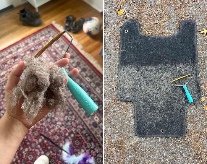 Lint remover brush with pet hair on carpet cleaner and car floor mat showing Prime Day 2024 best-sellers for pet owners.