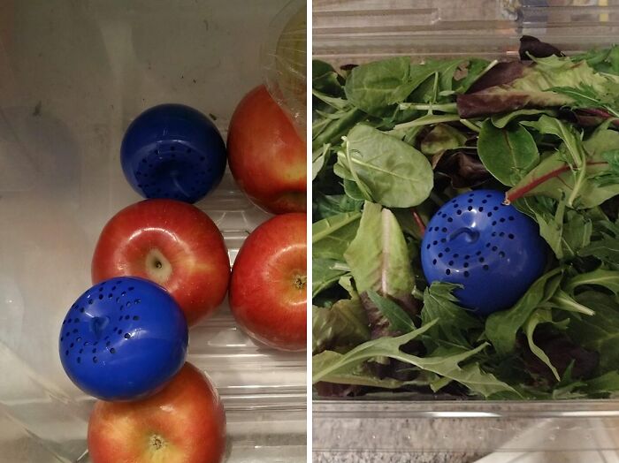 Blue produce saver placed with apples and leafy greens in kitchen storage, showcasing popular best-selling kitchen items.