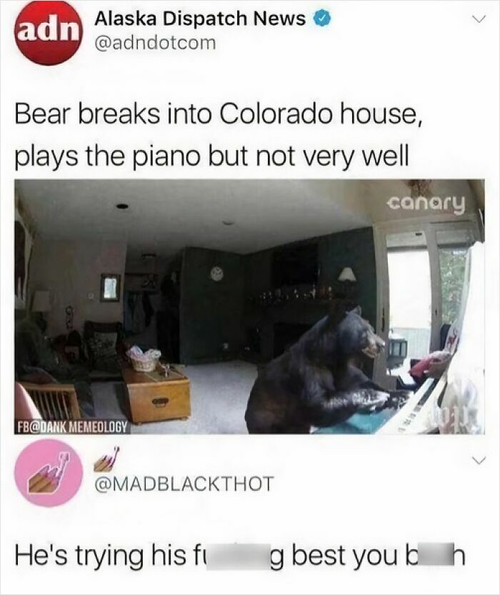 Bear breaks into house playing piano poorly, a sarcastic meme from 65 memes in I Speak Fluent Sarcasm collection.