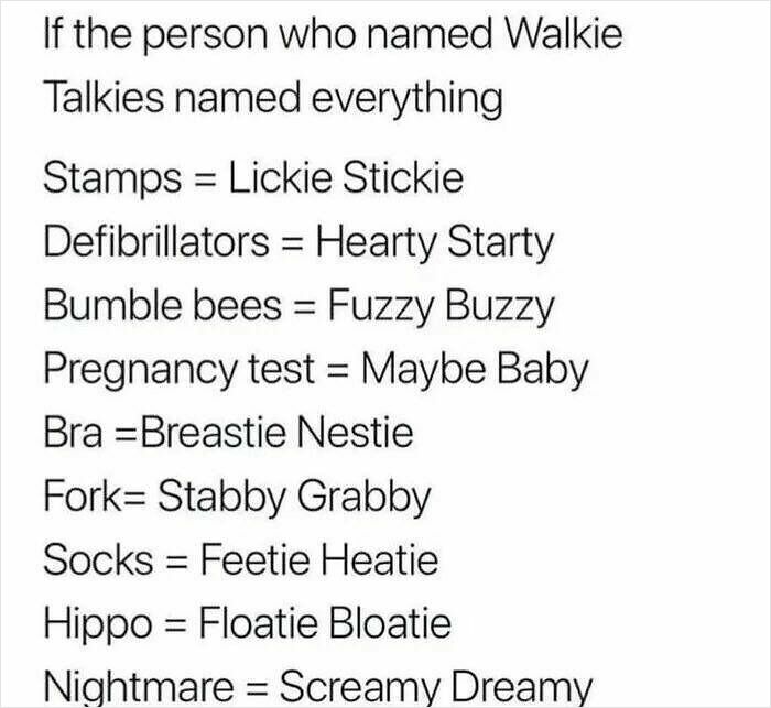 Sarcastic meme showing humorous renaming of common items with playful and silly rhymes for sarcasm lovers.