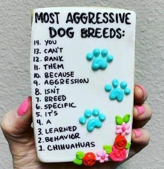 Funny doggo meme cookie showing list titled most aggressive dog breeds with playful text and paw decorations.