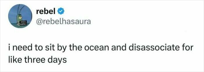 Tweet from rebel about needing to sit by the ocean and disassociate, relatable post to make your day better.