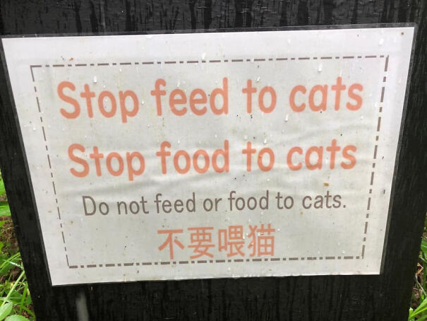 Funny and baffling English sign showing incorrect attempts at translations about not feeding cats in a rainy outdoor setting.