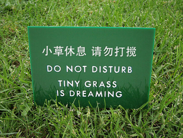 Green sign on grass with funny English translation warning not to disturb, showcasing baffling uses of English and translations.