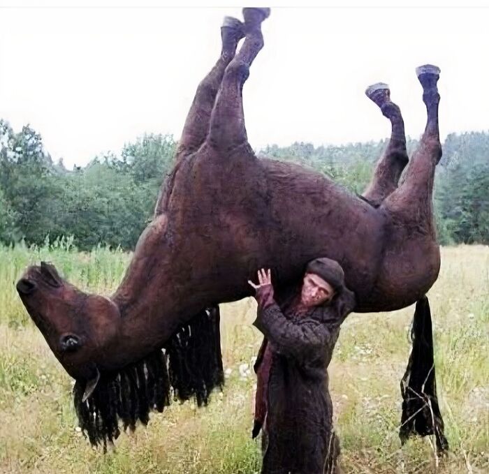 Hombre levantando un caballo al revés en campo abierto, imagen impactante dentro de imágenes malditas y sorprendentes.