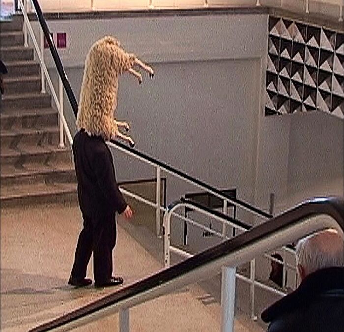 Persona con disfraz extraño tipo animal en una escalera, imagen maldita y perturbadora captada en espacio público.