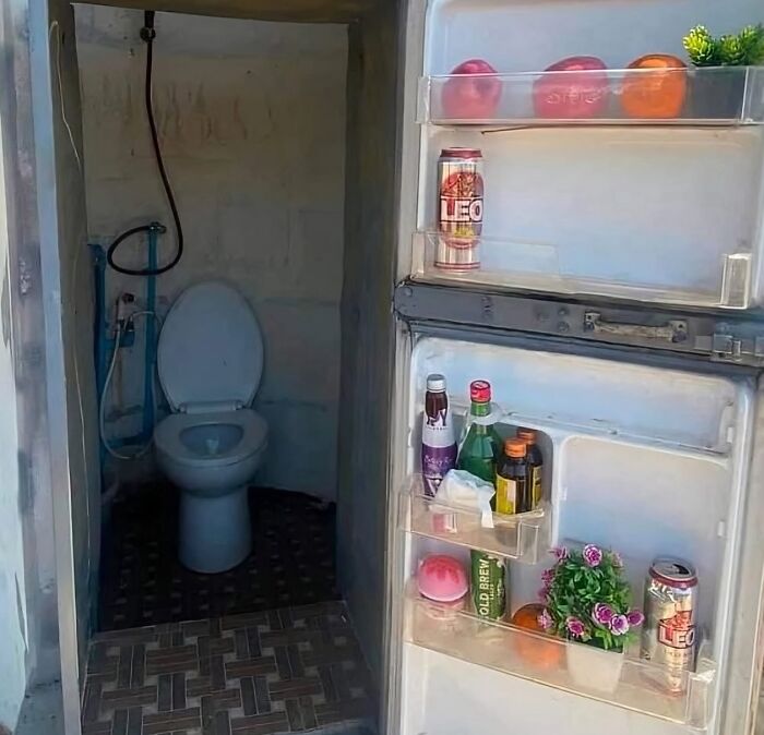 Interior de refrigerador con bebidas y frutas, al fondo un baño con inodoro, imagen maldita a todos los niveles.