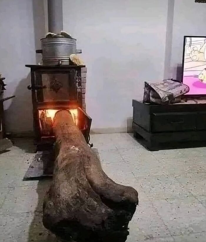 Leña gigante en estufa casera encendida, imagen maldita que sorprende por su tamaño y uso inusual en el hogar.
