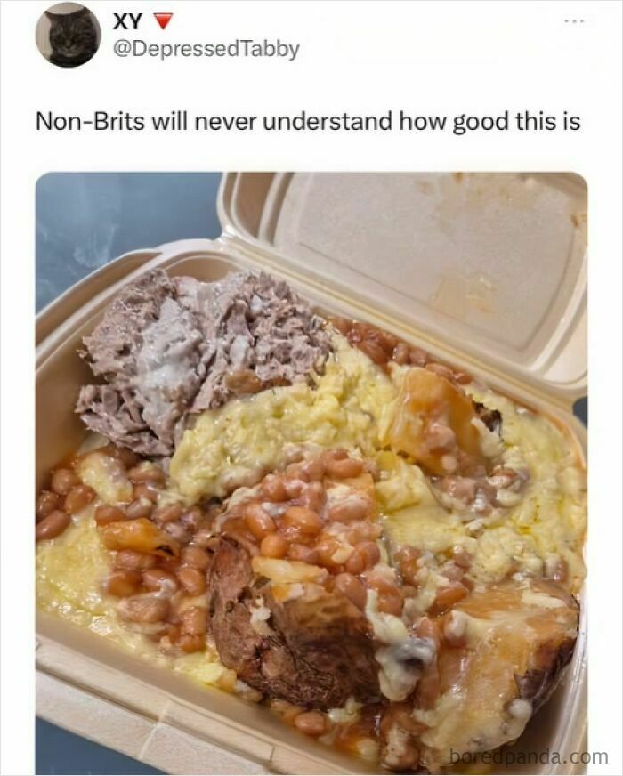 Takeout container with meat, beans, and mashed potatoes covered in melted cheese, a disgusting food pic that might ruin appetite