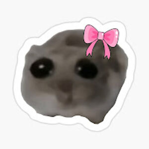 savannahfrancis avatar