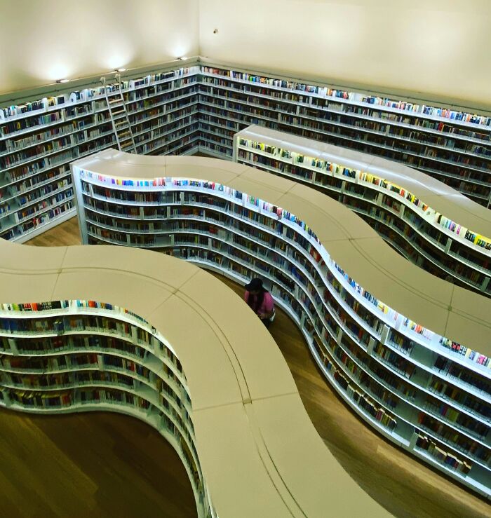 Curved, grandiose library shelves filled with books, showcasing a magical and cosy library design from around the world.