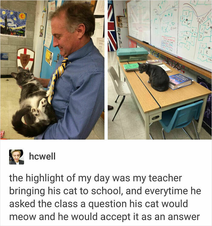 Teacher showing love for students by bringing his cat to school, creating a warm and engaging classroom environment.