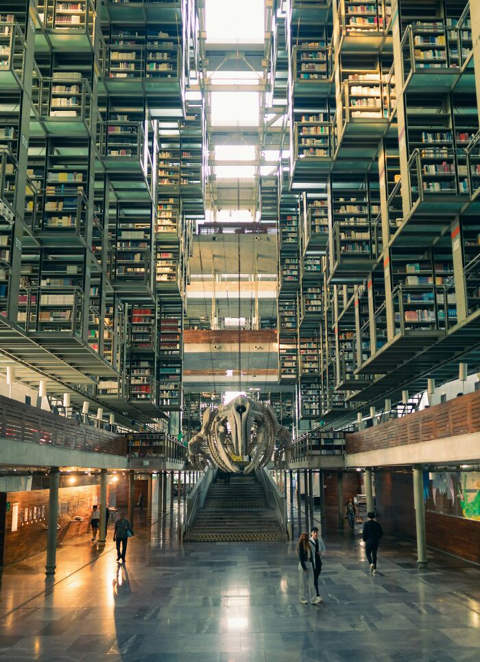 Spacious modern library interior with suspended bookshelves and a large whale skeleton centerpiece attracting visitors.