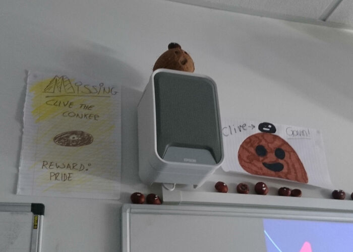 Classroom decorations showing student art and missing conker poster, reflecting teachers love for students and profession.