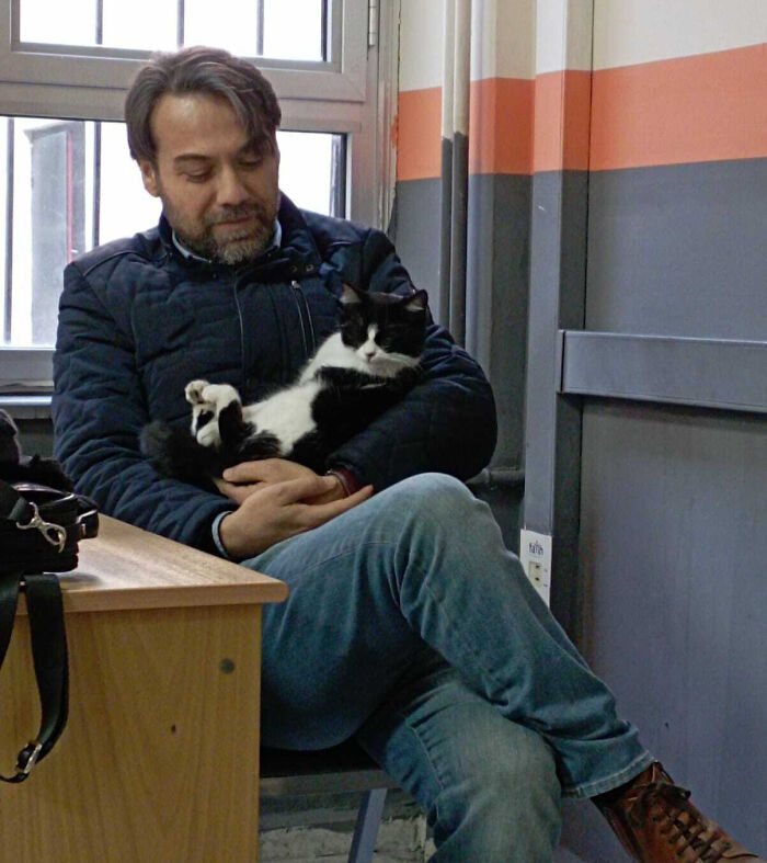 Teacher sitting in classroom holding a black and white cat, showing love and care for students and profession.