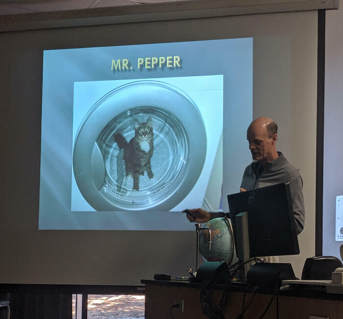 Teacher giving a presentation with a photo of a cat inside a washing machine, showing care and love in the classroom.