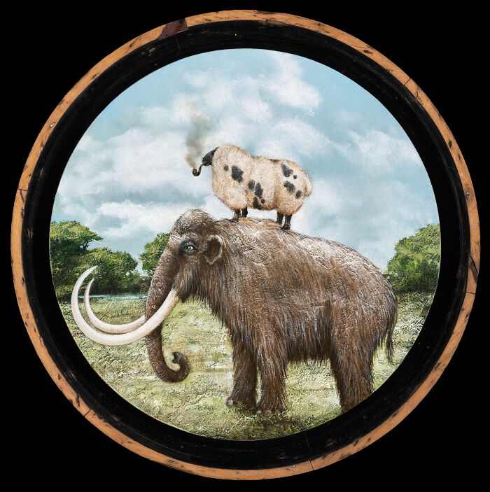 Surreal animal painting of a woolly mammoth with a spotted sheep smoking a pipe on its back in a dreamy storybook style.