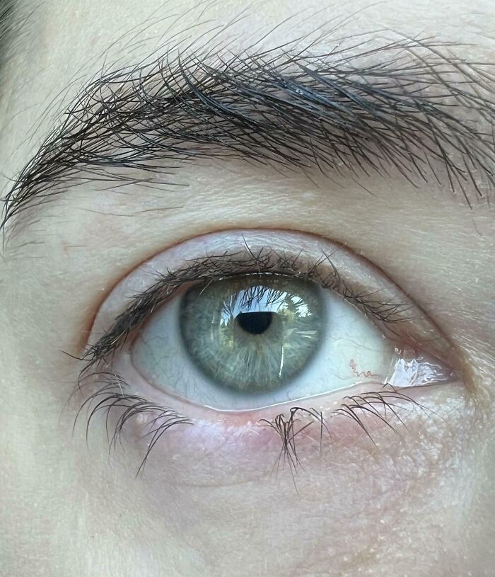 Close-up of a human eye showing detailed texture and features of the human body in a fascinating view.