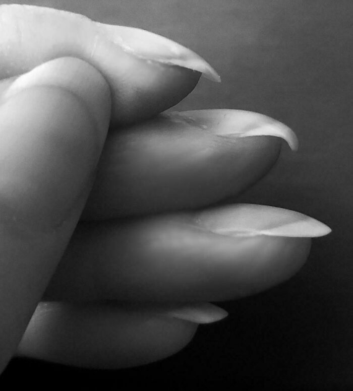 Close-up black and white photo of human fingers with long, curved nails showing bizarre and fascinating details of the human body.