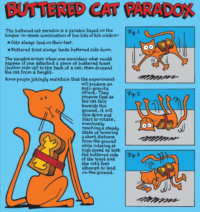 Illustration of the buttered cat paradox, a famous paradox that confuses even smart people with its humorous logic twist.