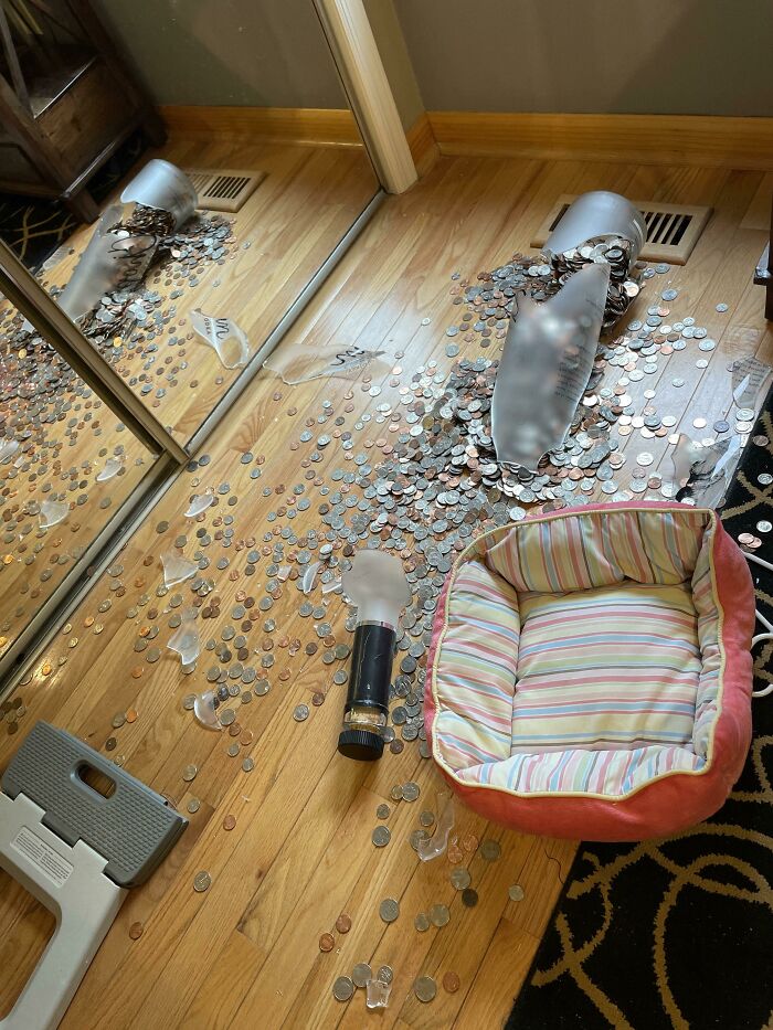 Broken piggy bank with spilled coins scattered on the floor near a pet bed, showing a hilariously unlucky parent moment.