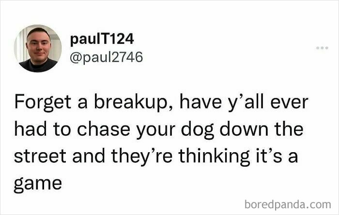 Social media meme text about chasing a dog down the street, featured in hilarious memes to help decompress.