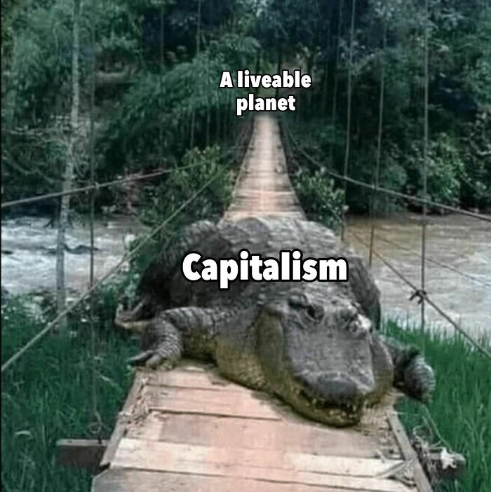 A powerful meme showing capitalism blocking a narrow bridge labeled a liveable planet in a forest setting.